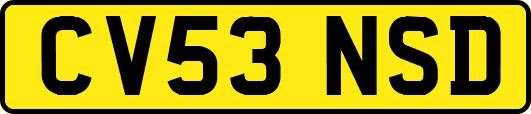 CV53NSD