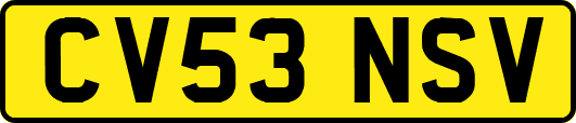 CV53NSV