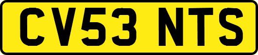 CV53NTS