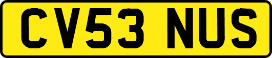 CV53NUS