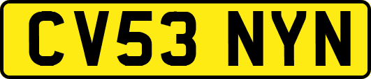 CV53NYN