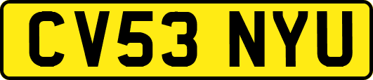 CV53NYU