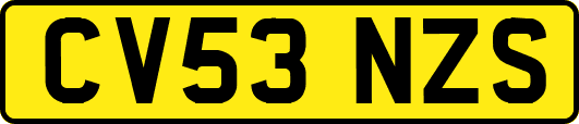 CV53NZS