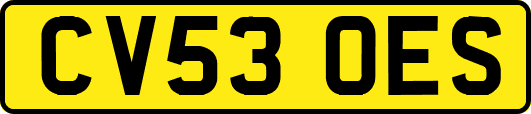 CV53OES