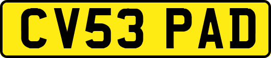 CV53PAD