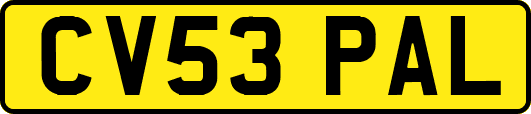 CV53PAL
