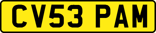 CV53PAM