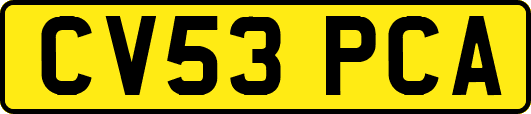 CV53PCA