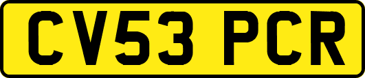 CV53PCR
