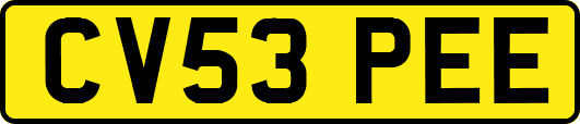 CV53PEE
