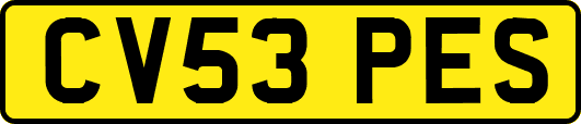 CV53PES