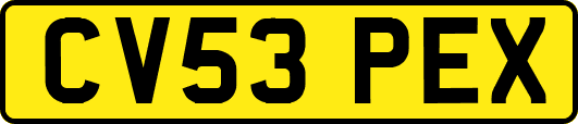 CV53PEX