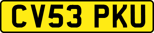 CV53PKU
