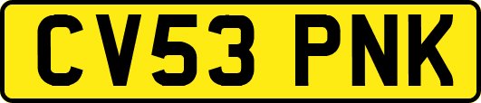 CV53PNK