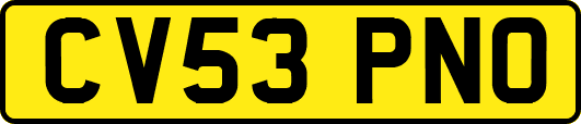 CV53PNO