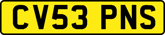 CV53PNS
