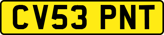 CV53PNT