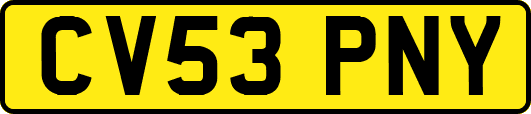 CV53PNY