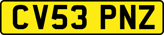 CV53PNZ