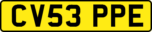CV53PPE