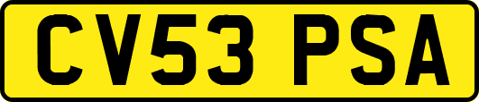 CV53PSA