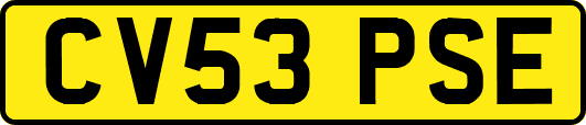 CV53PSE