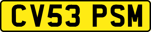 CV53PSM