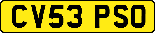 CV53PSO