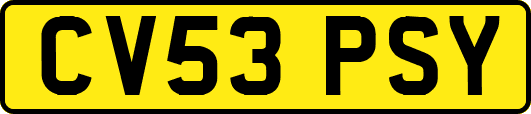 CV53PSY