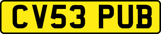 CV53PUB