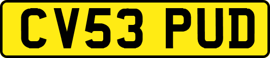 CV53PUD