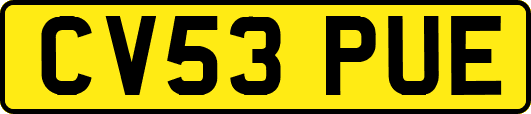 CV53PUE