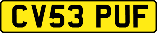 CV53PUF