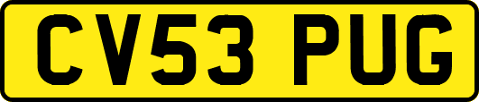 CV53PUG