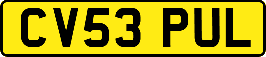 CV53PUL