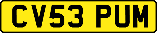 CV53PUM