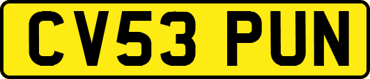 CV53PUN