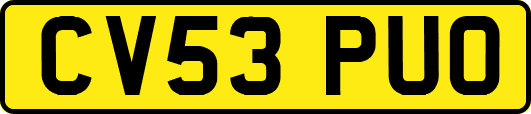 CV53PUO