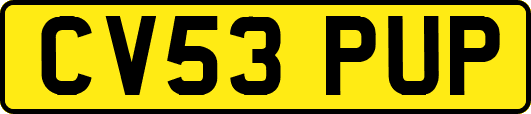 CV53PUP