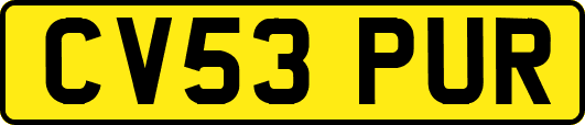 CV53PUR