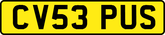 CV53PUS