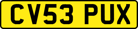 CV53PUX