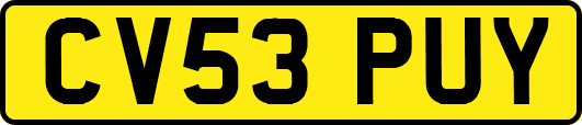 CV53PUY