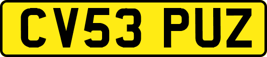 CV53PUZ