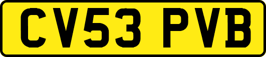 CV53PVB