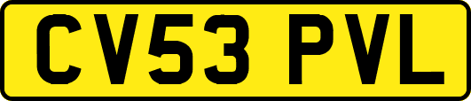 CV53PVL