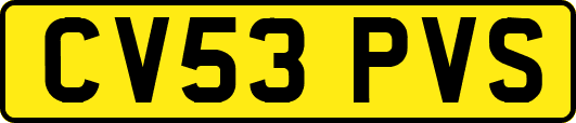 CV53PVS
