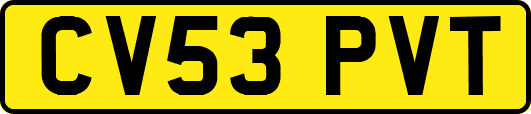 CV53PVT