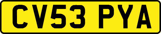 CV53PYA