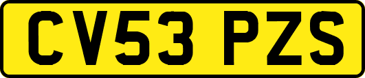 CV53PZS